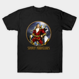 SIMPLY MARVELOUS! T-Shirt